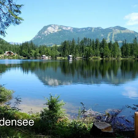 Apartamento Alploft Top2 Bad Mitterndorf